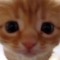 :3