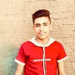Mohamed Metwally