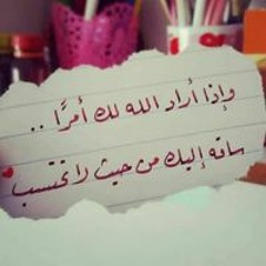 Mamo El Sayed