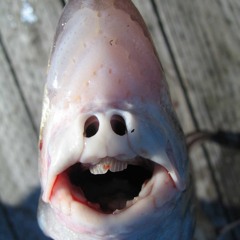 Hehehehe