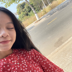 Việt Trinh Nguyễn Thị