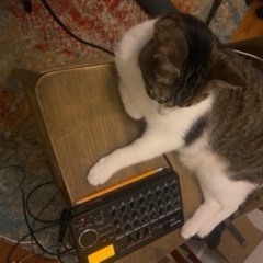 Ghetto Kitty -Action Heroes