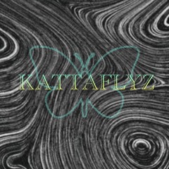 Kattaflyz