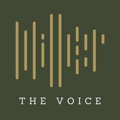 Miller The Voice