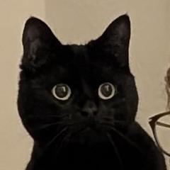 user775120910