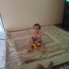 احمد كوارشي