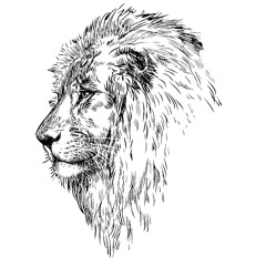 Rathlion