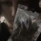 luvkrime (all plats & new music)
