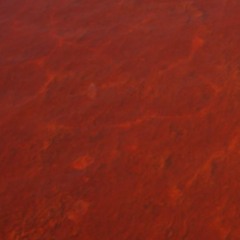 MVNVB