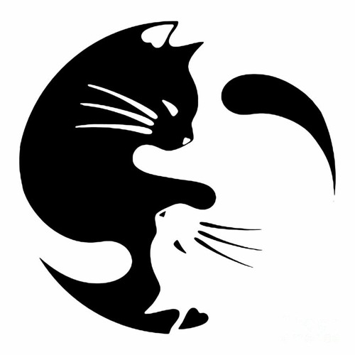 Cat Paradise’s avatar