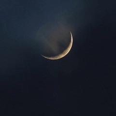 عبد الهادي محمد