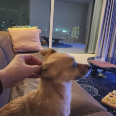 조승현