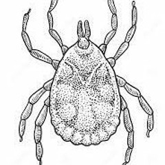 Fallen Angel (Crystal)