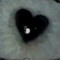 delulu_girl28 ilovehim