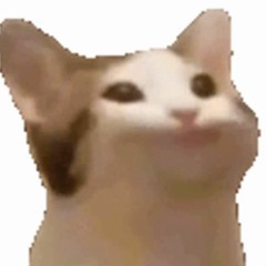 Saschlwaschl