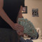 FrankBandz586