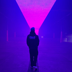 Casvelt