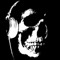 Dj Skulltek