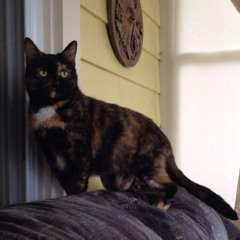 Tina