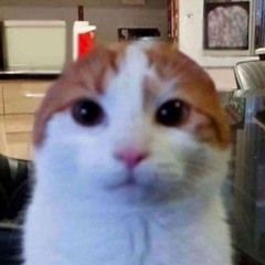 EthanThePotatoMaster