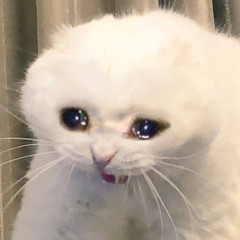 AA