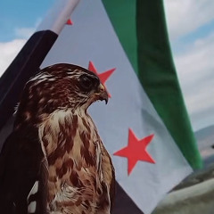 سلاطين