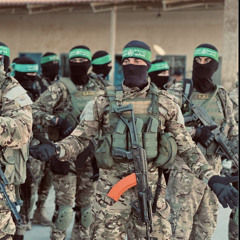 Taim Abd rab alnabi