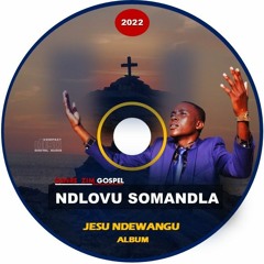 Ndlovu somandla