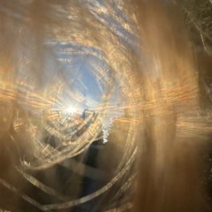 blessedofmentalitygoldy