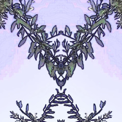 NullLance120