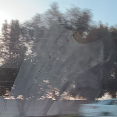 ŵ