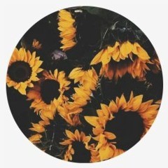 sheesh.idk.tocoolforu