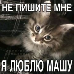 Никитосник