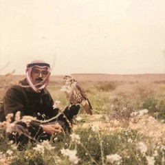 متعب الحربي