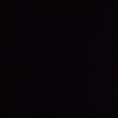 محمد أبو كرش