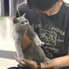 MUTxGIGI SSK RADIO OFFICIAL