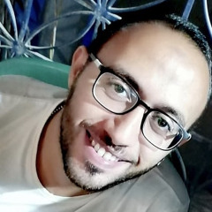 Ali Zaghloul 4
