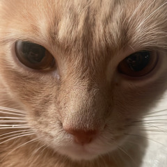 puf