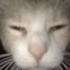 Dusk 2 Dawn Extra Files