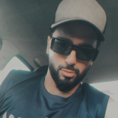 sina leys