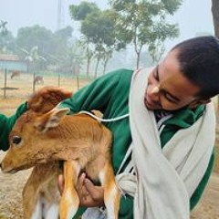 Jiten Das