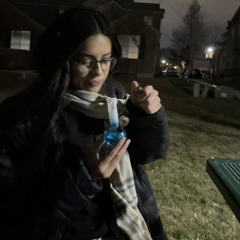 theannalenaa