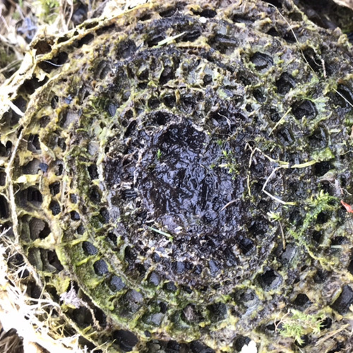 9AD8CA34-9EED-4585-849E-85118E6ABE08.mp3