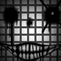 C0NSUMPT1ON