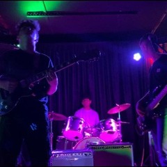 Dusty Seagulls