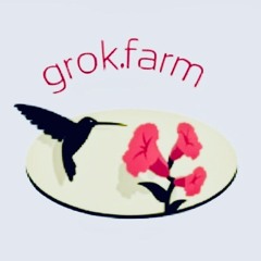 www.grok.farm
