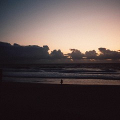 polly_noom