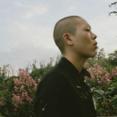 덫
