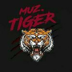 TigerMusic