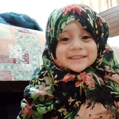 Nasir Malik